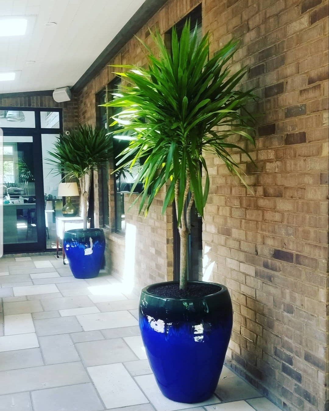 a hallway with blue potted plants and a brick wall