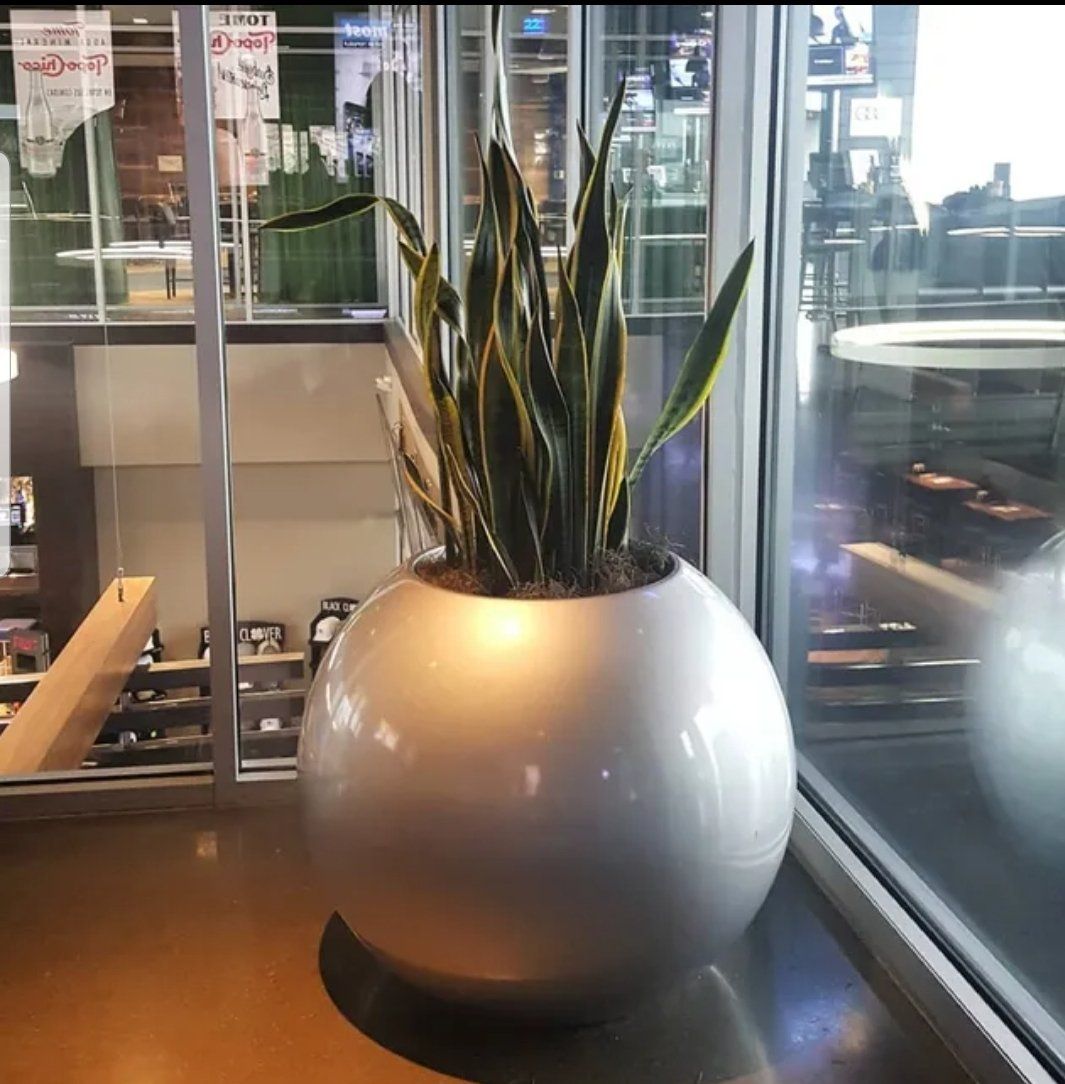 a potted plant is sitting on a table in front of a window