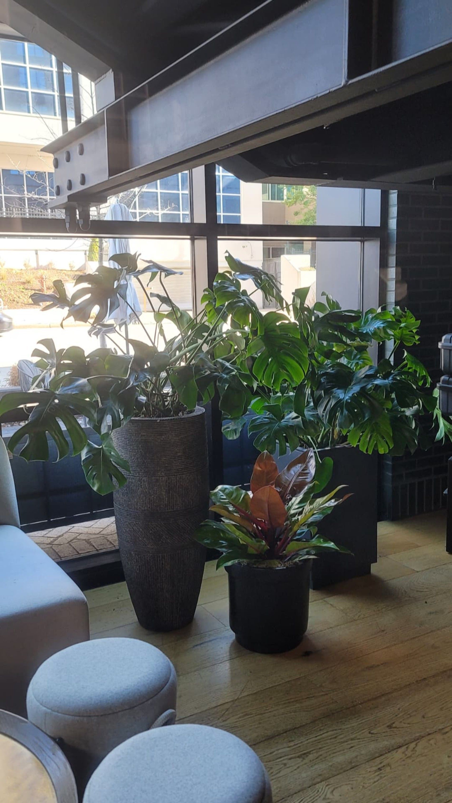 a room with lots of potted plants in front of a window