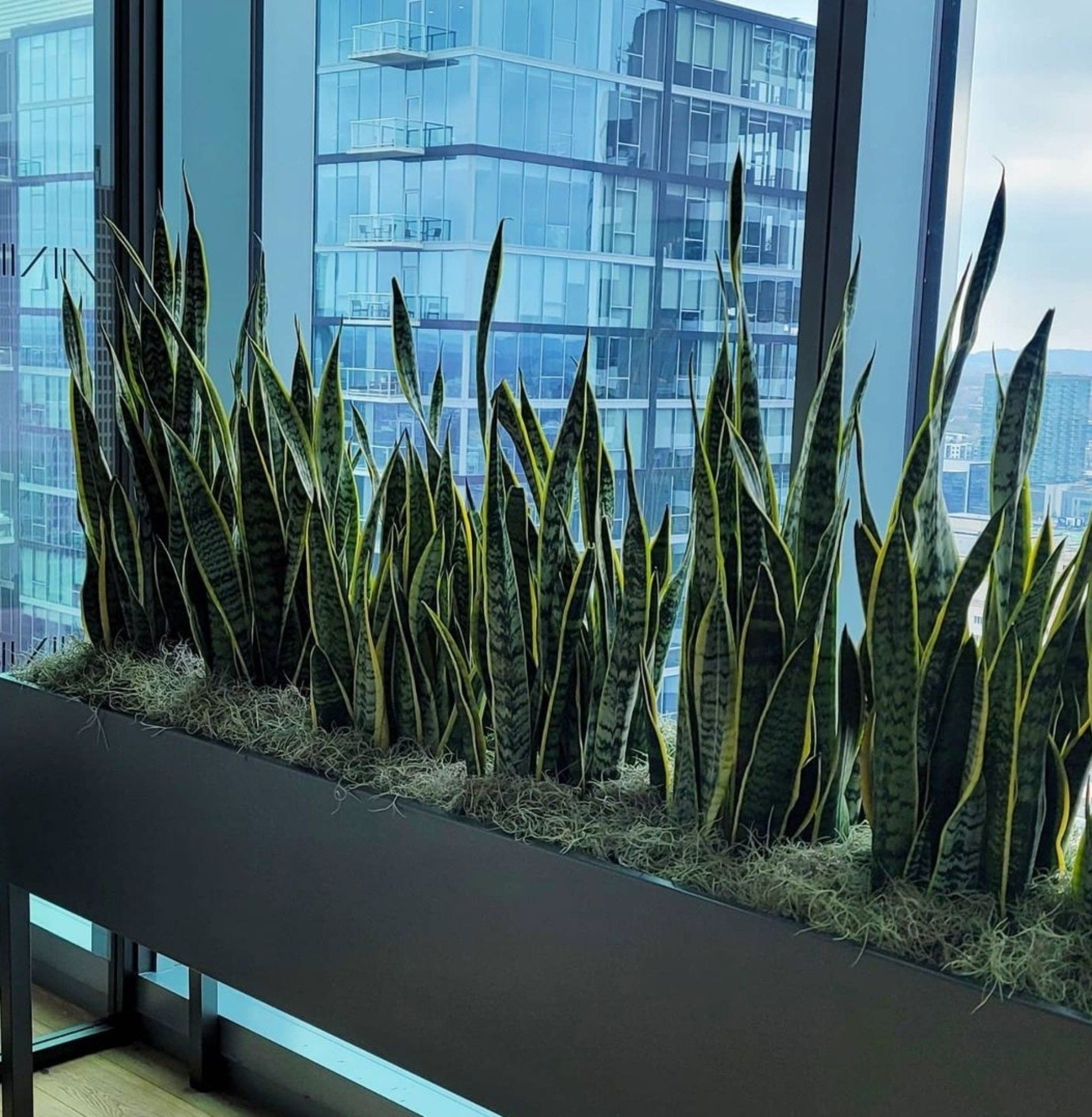 a planter filled with plants is sitting in front of a window