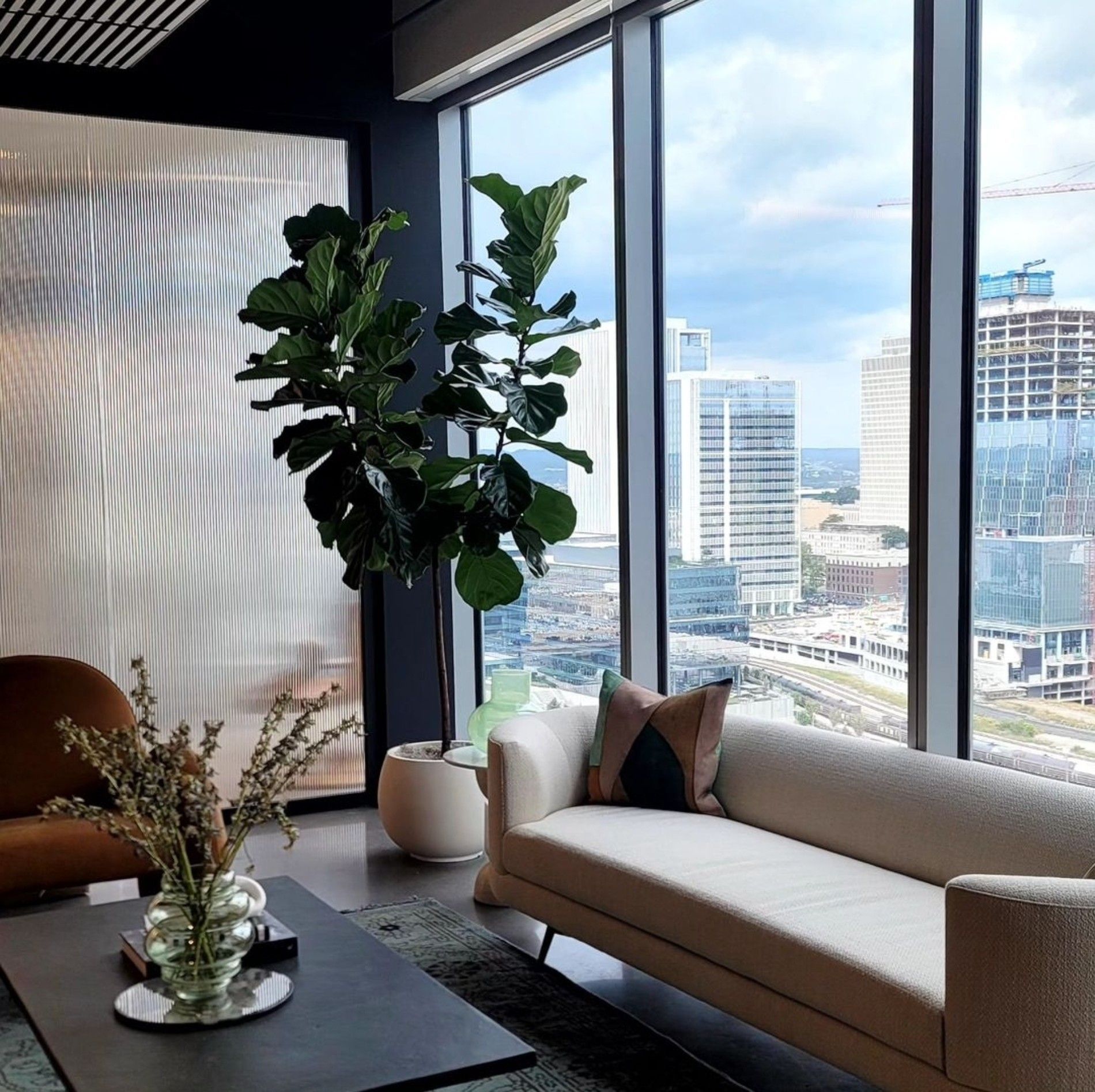 a living room with a couch and a plant