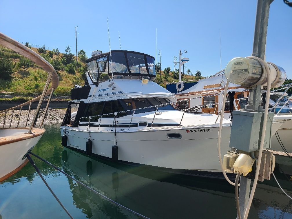 White motorboat docked in calm water on a sunny day; trees and structures in the background.