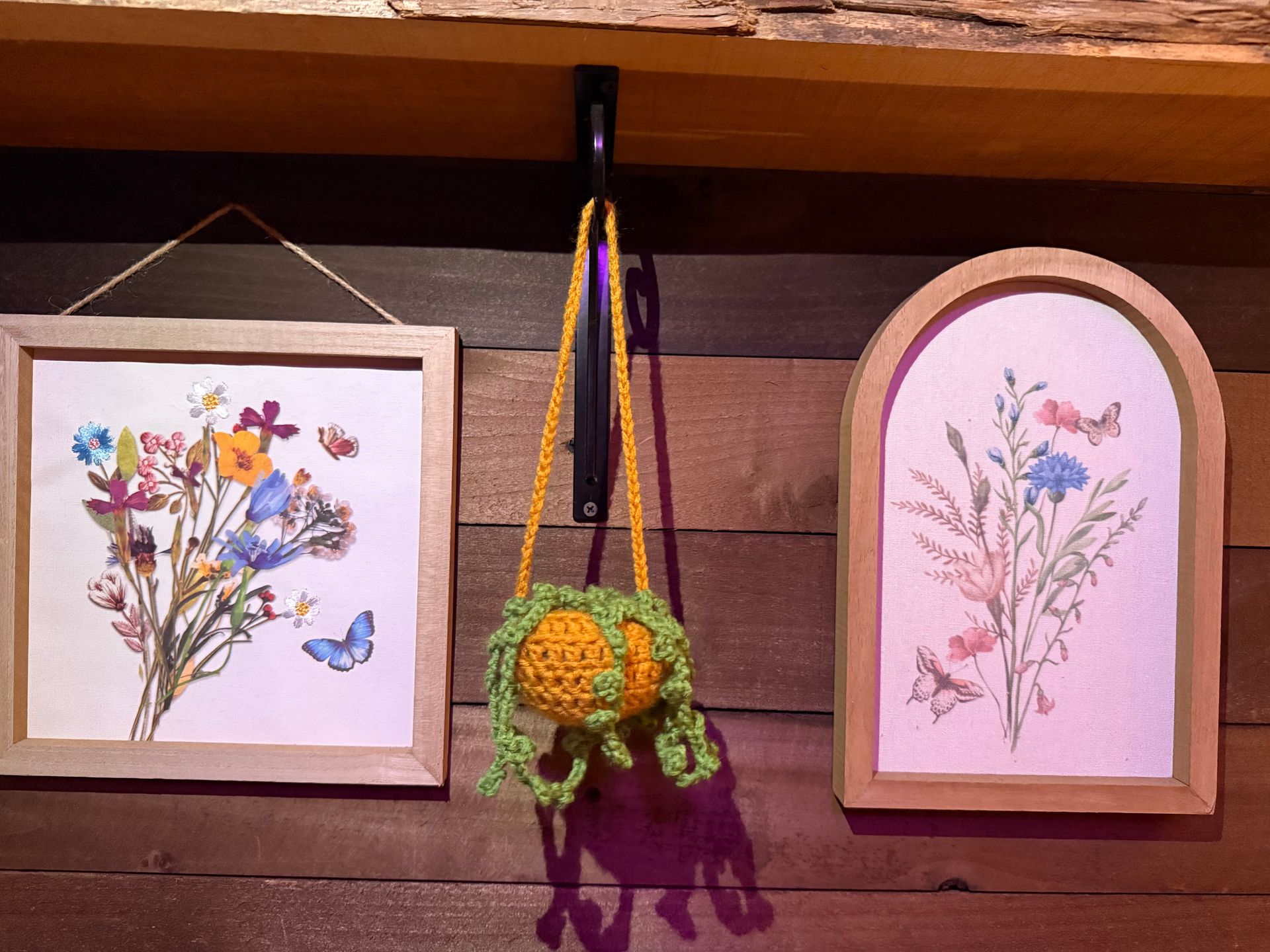 CROCHET HANGING PLANT