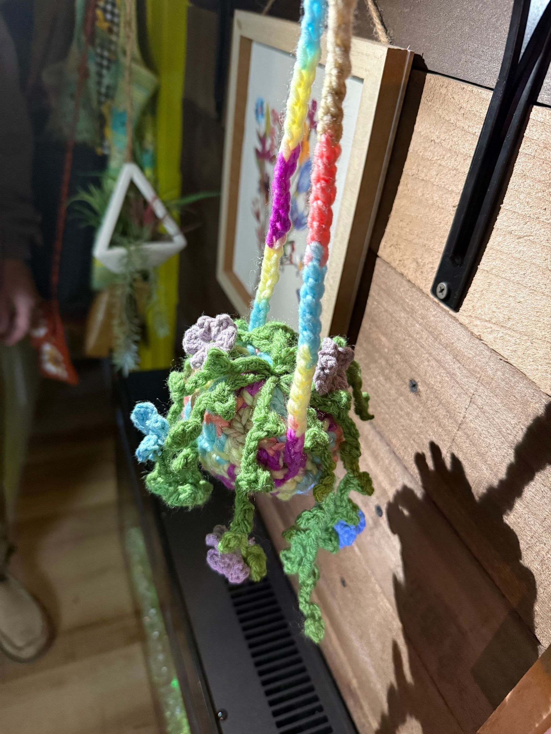 COLORFUL POT AND FLOWERS HANGING PLANT