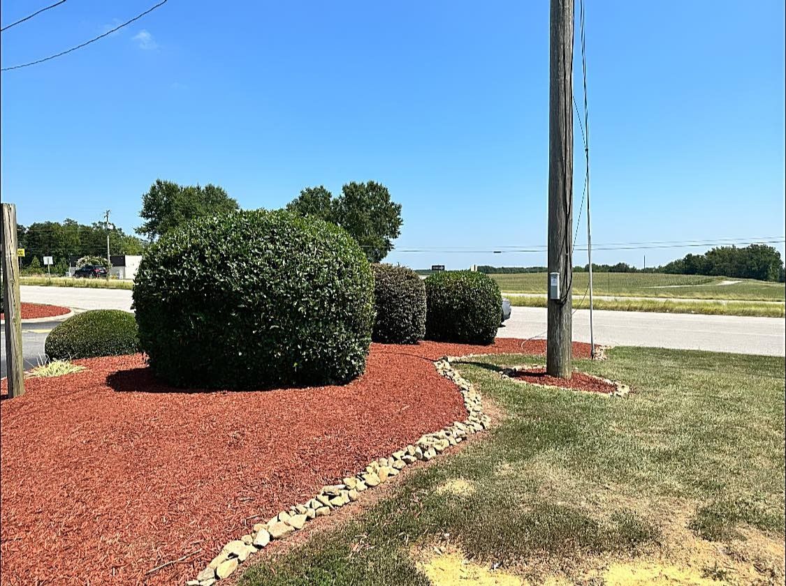 There is a telephone pole in the middle of the yard.