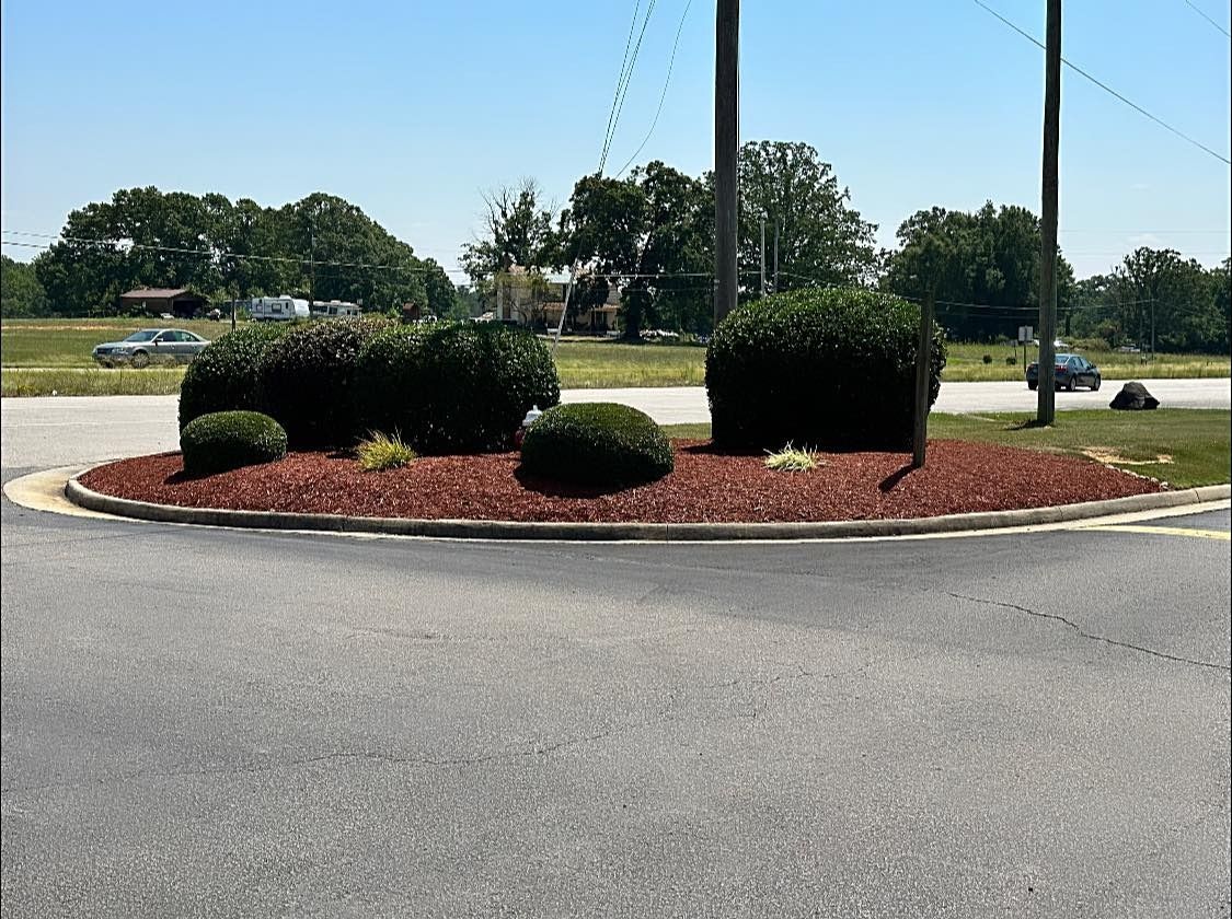 A roundabout with trees and bushes in the middle of the road.