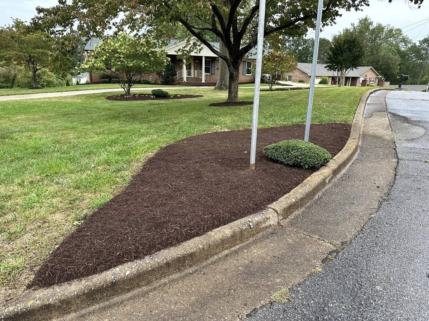 A yard with a tree and mulch on the side of the road.