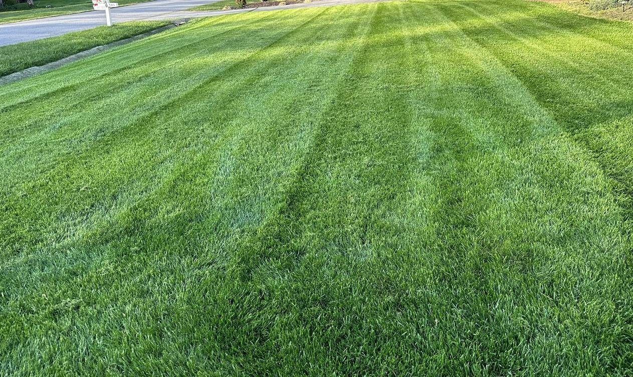 A lush green lawn is being mowed by a lawn mower.