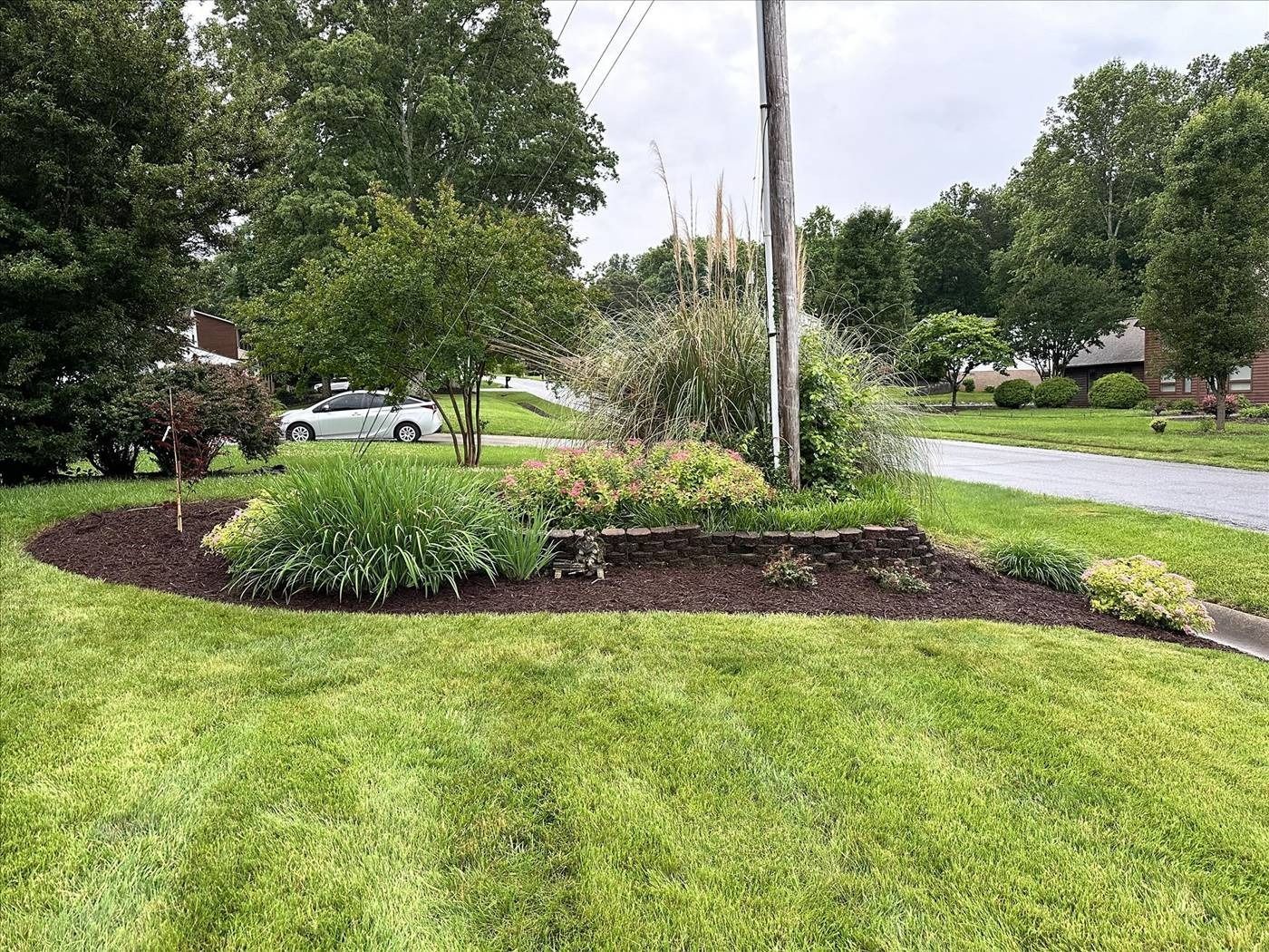 A lush green lawn with a white car parked in the background.