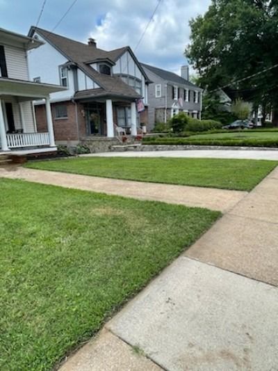 A sidewalk leading to a house with a lush green lawn