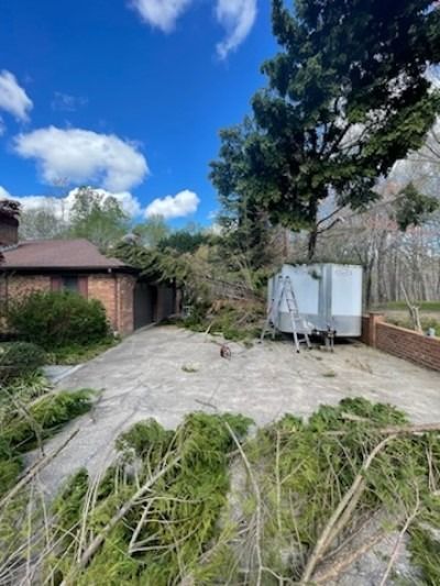 A house with a lot of branches laying on the ground in front of it.