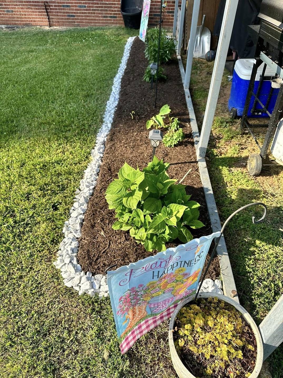 A garden with plants and a flag in the middle of it.