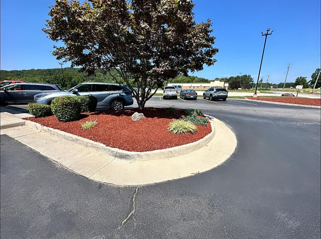 A parking lot with cars parked in it and a tree in the middle.