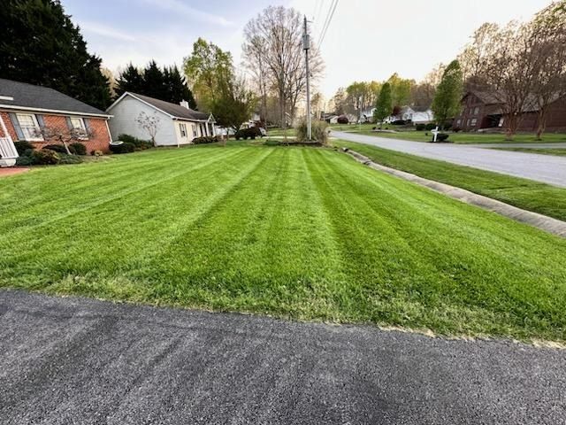 A lush green lawn is being mowed in front of a house.