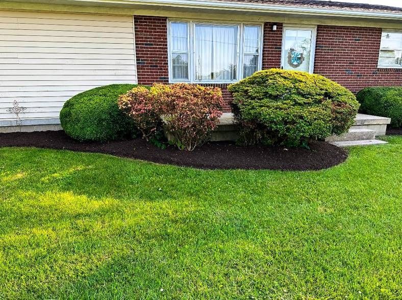 A house with a lush green lawn and bushes in front of it.
