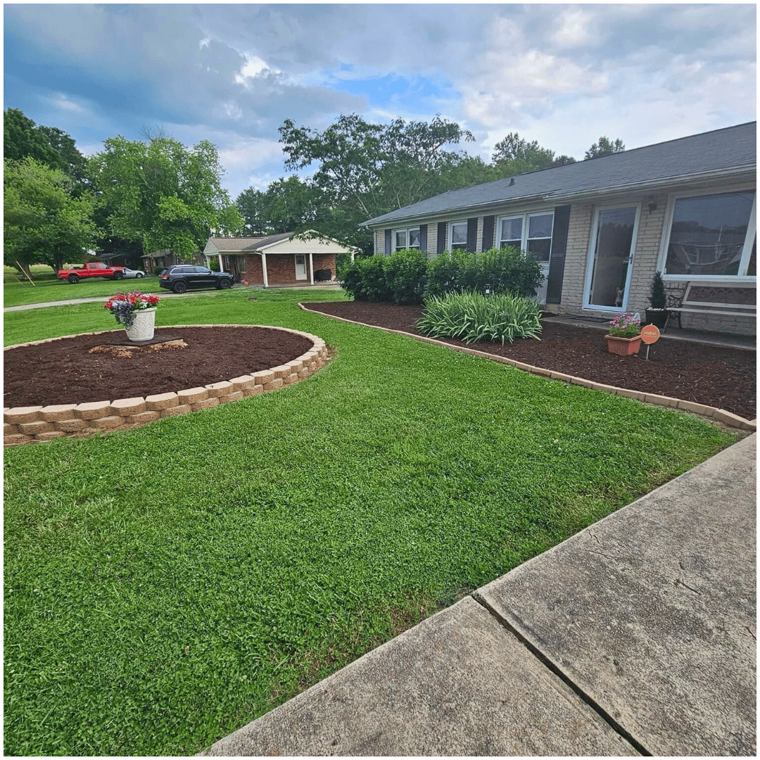 A house with a lush green lawn and a sidewalk in front of it.