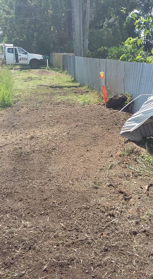 Tree Stump Removal in Lismore, NSW