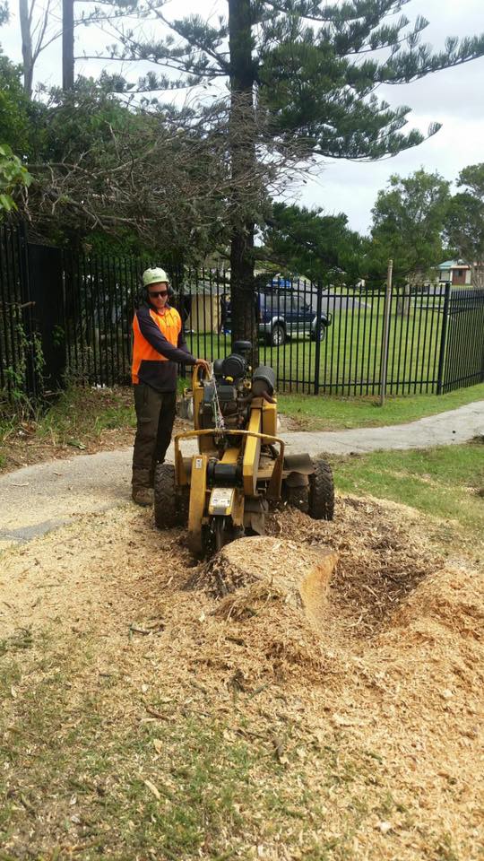 Tree Stump Grinding in Lismore, NSW