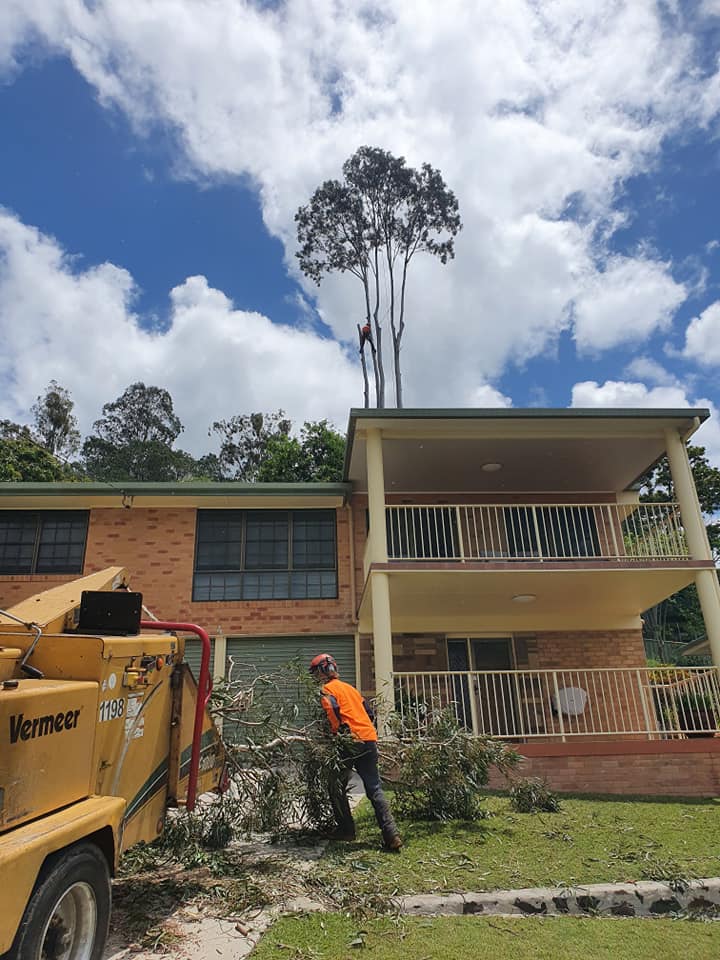 Tree Chipping — Mulch in Lismore, NSW