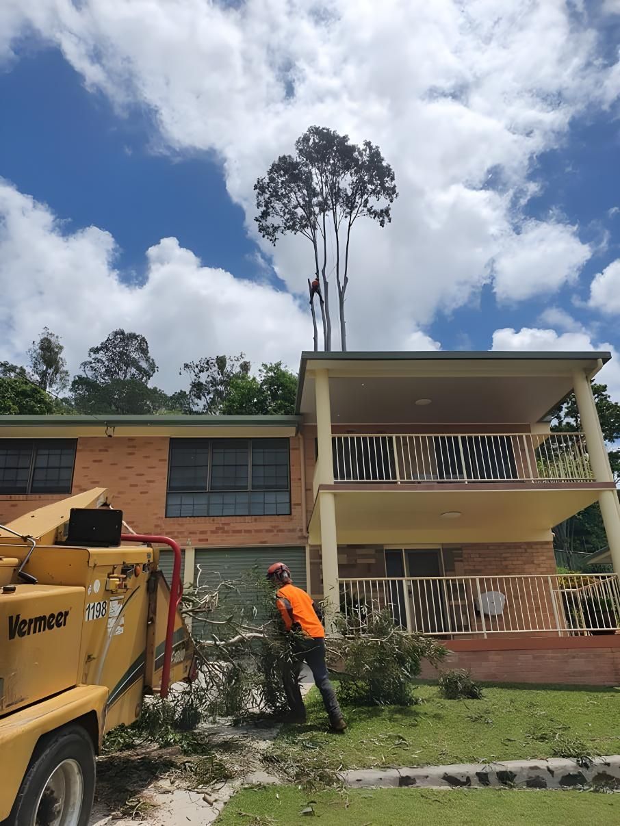 A Man is Cutting Down a Tree in Front of a House — Steve Cubis Tree Services In Kyogle, NSW