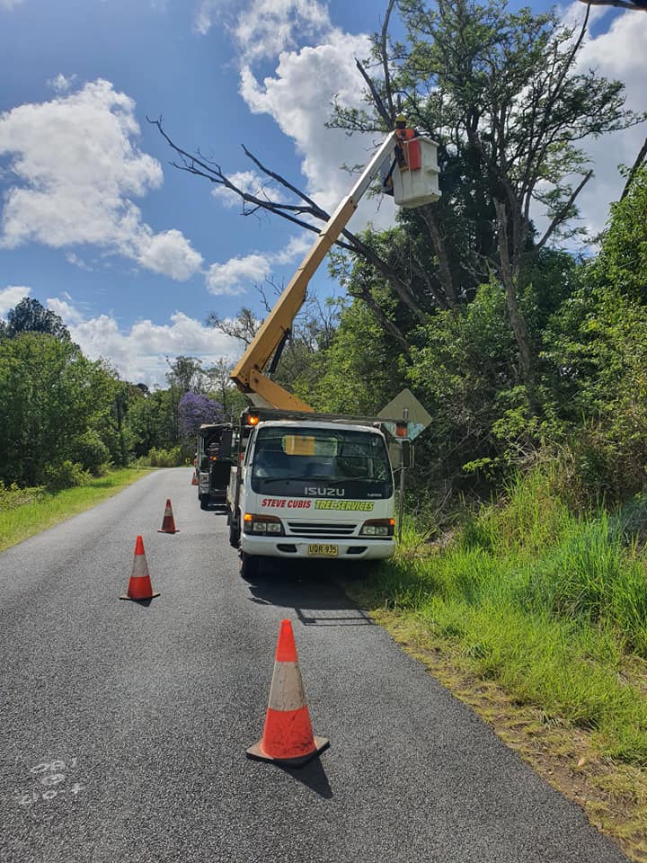 A Truck is Parked on the Side of the Road Next to a Tree — Steve Cubis Tree Services In Balina, NSW