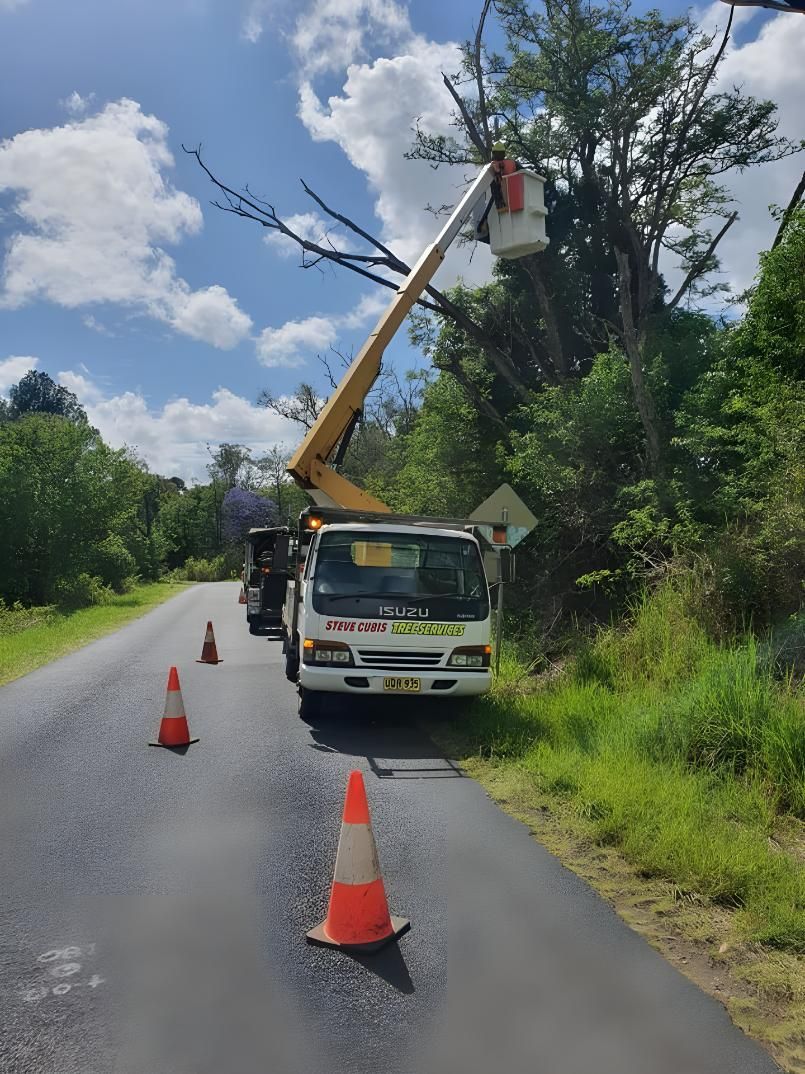 A Crane is Cutting a Tree on the Side of a Road — Steve Cubis Tree Services In Nimbin, NSW