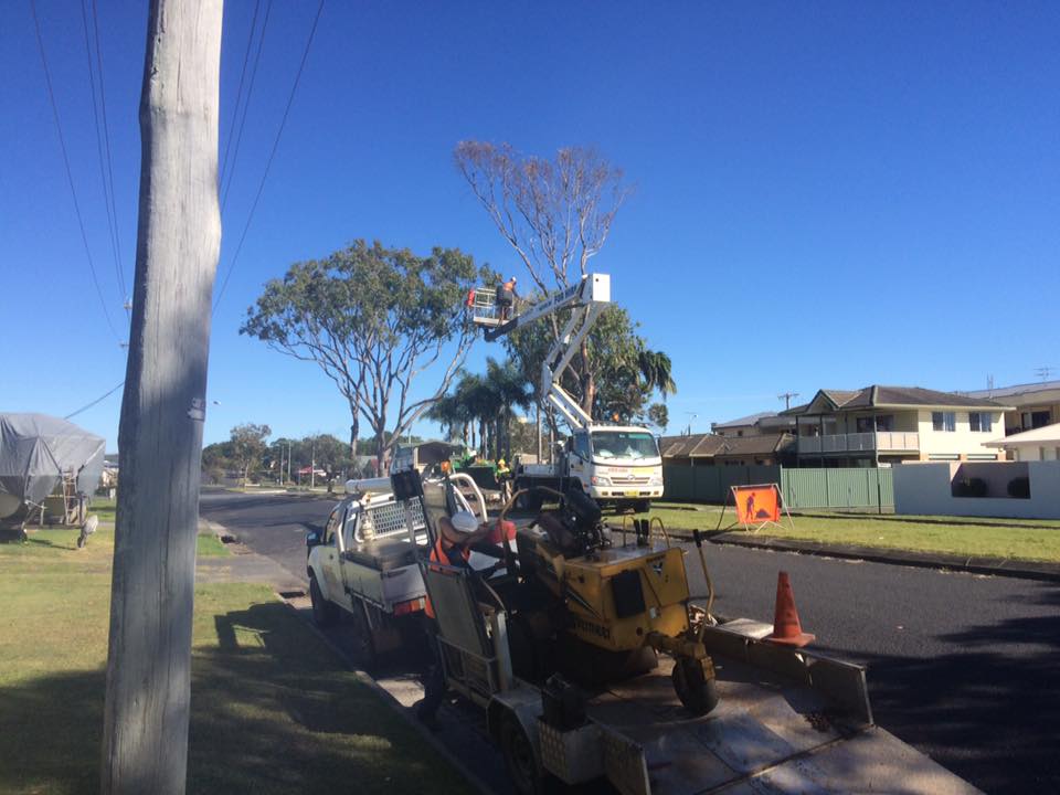 Tree Services Equipment — Tree Reports in Lismore, NSW