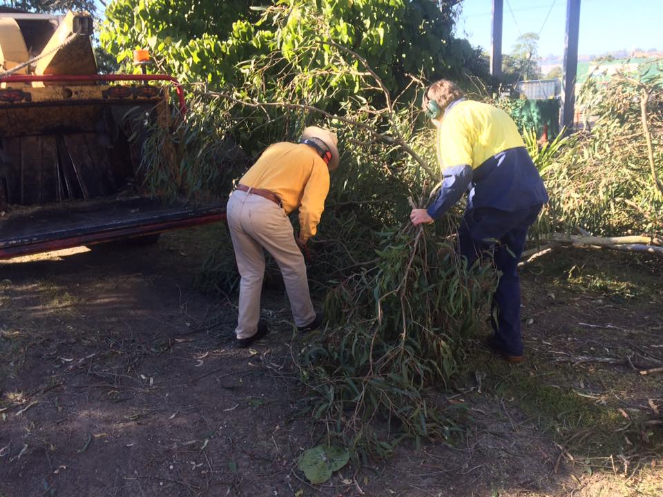 Two Men Are Standing Next to a Pile of Branches — Steve Cubis Tree Services In Lismore, NSW