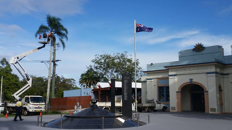 Commercial Tree Trimming — Commercial Arborists in Lismore, NSW