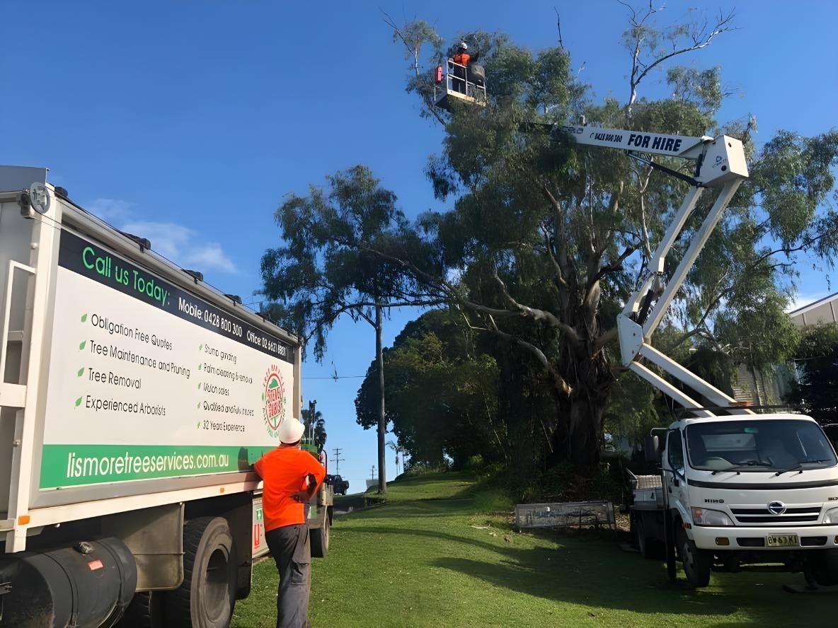 A Man in an Orange Shirt is Standing Next to a White Truck — Steve Cubis Tree Services In Alstonville, NSW