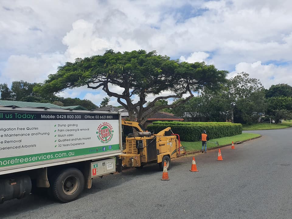 Tree Chipping & Mulch — Mulch in Lismore, NSW