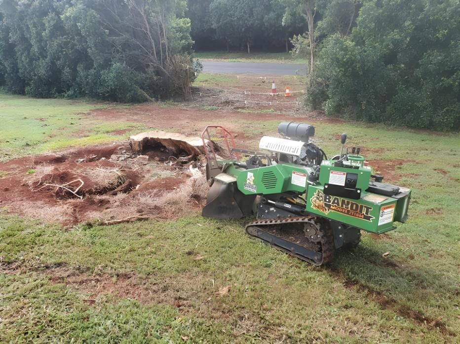 A Green Stump Grinder is Cutting a Tree Stump in a Field — Steve Cubis Tree Services In Bangalow, NSW