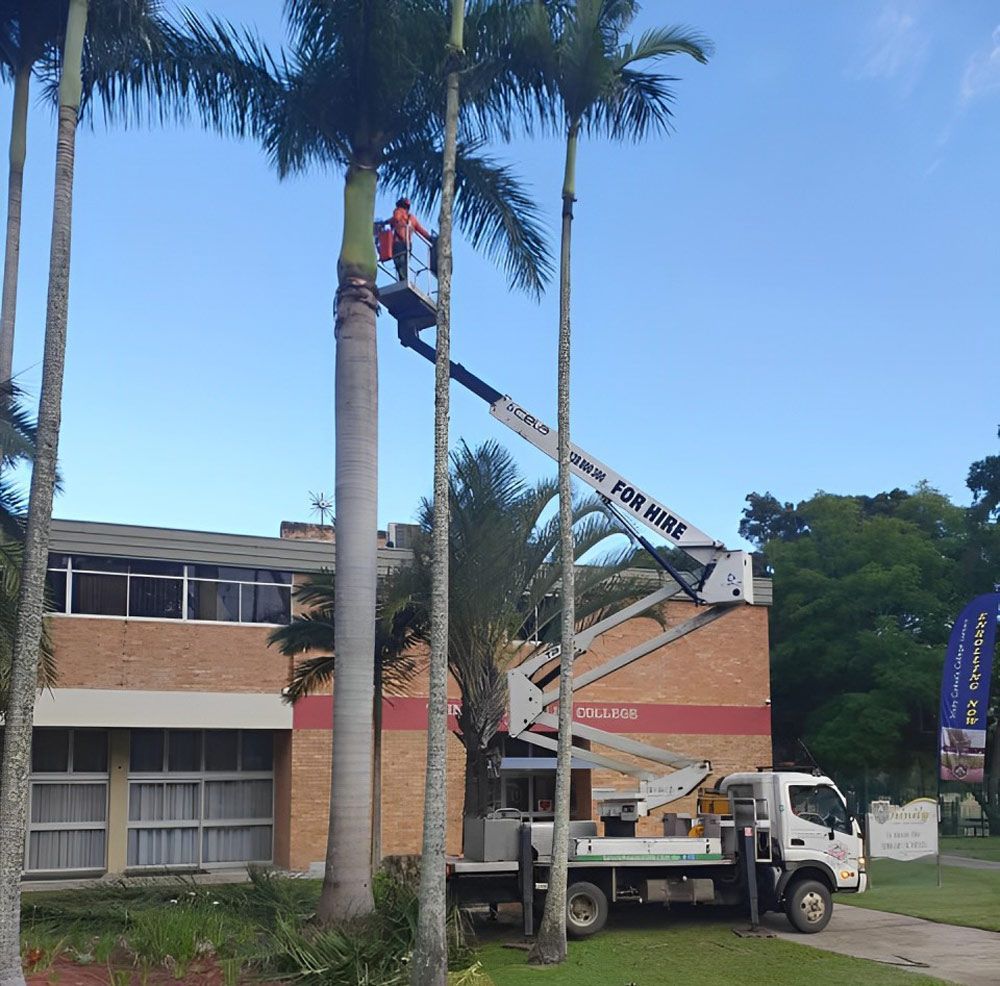 A Commercial Tree Care