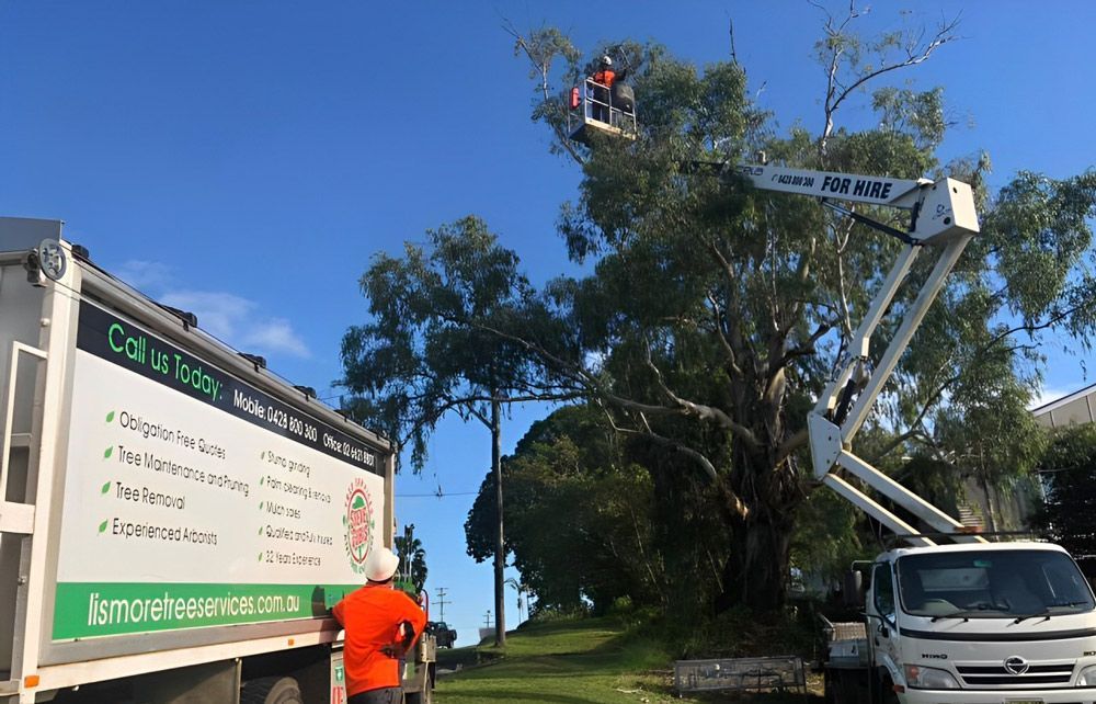 Arborists Cutting A Tree