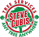 Steve Cubis Tree Services: Professional Arborist in the Northern Rivers