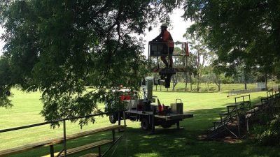 Tree Services Alstonville — Tree Services in Lismore, NSW