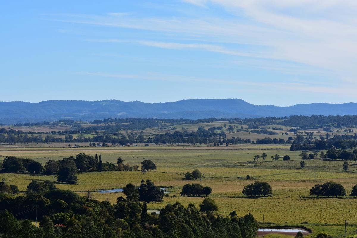 A View of a Lush Green Field With Trees and Mountains in the Background — Steve Cubis Tree Services In Kyogle, NSW