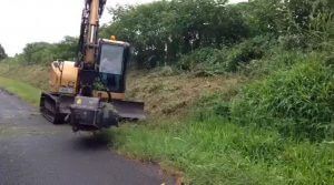 Tree Services Casino — Tree Services in Lismore, NSW