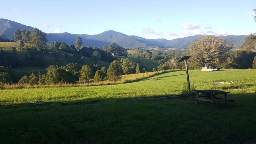 A Picnic Table is Sitting in the Middle of a Grassy Field With Mountains in the Background — Steve Cubis Tree Services In Nimbin, NSW