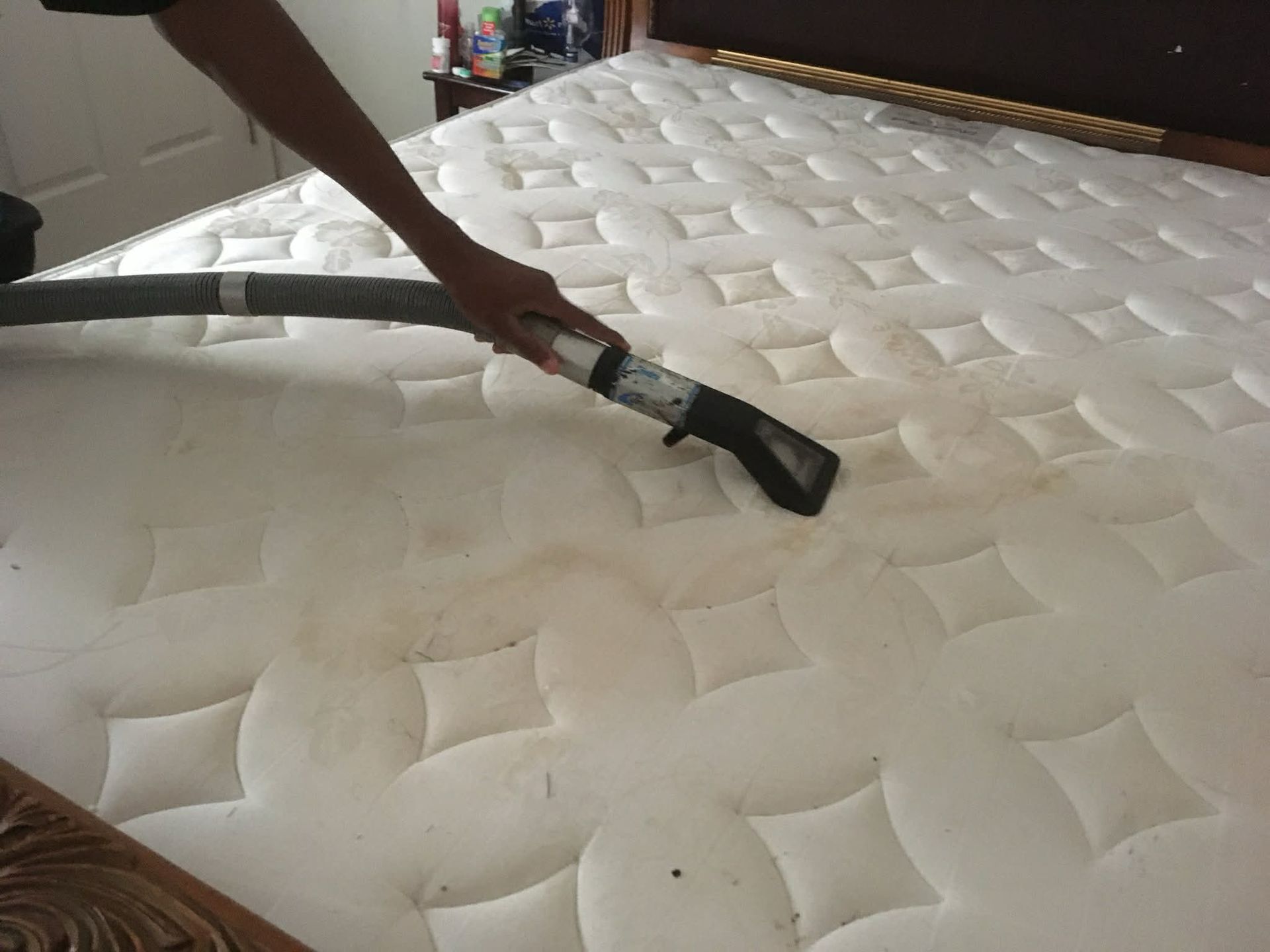 Person cleaning a teal couch with a vacuum tool.