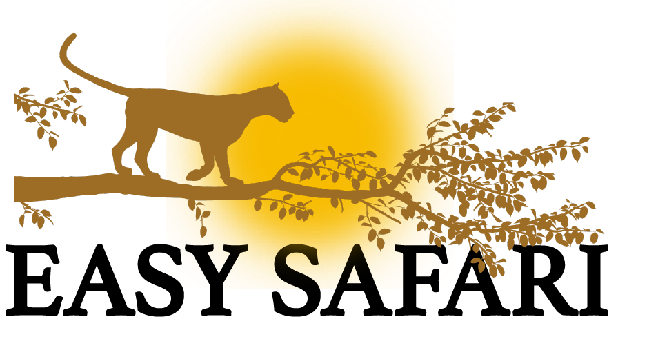 Easy Tour Safari