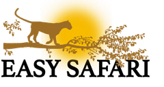 Easy Tour Safari