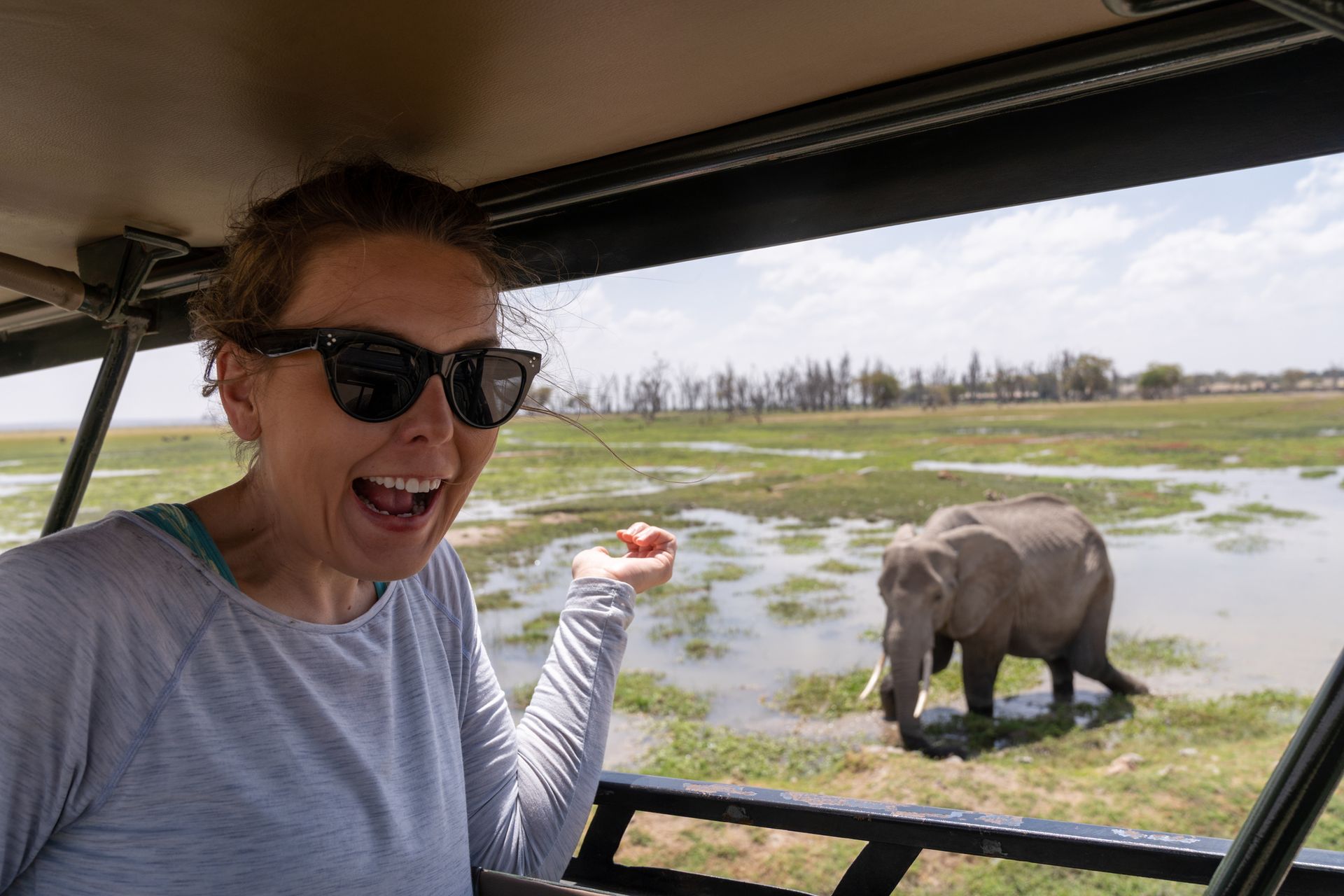 Woman in safari vehicle points excitedly at elephant in marsh.