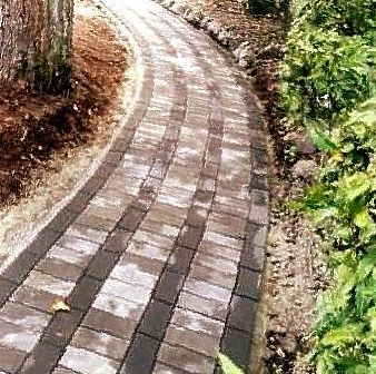 A brick walkway is surrounded by trees and bushes.