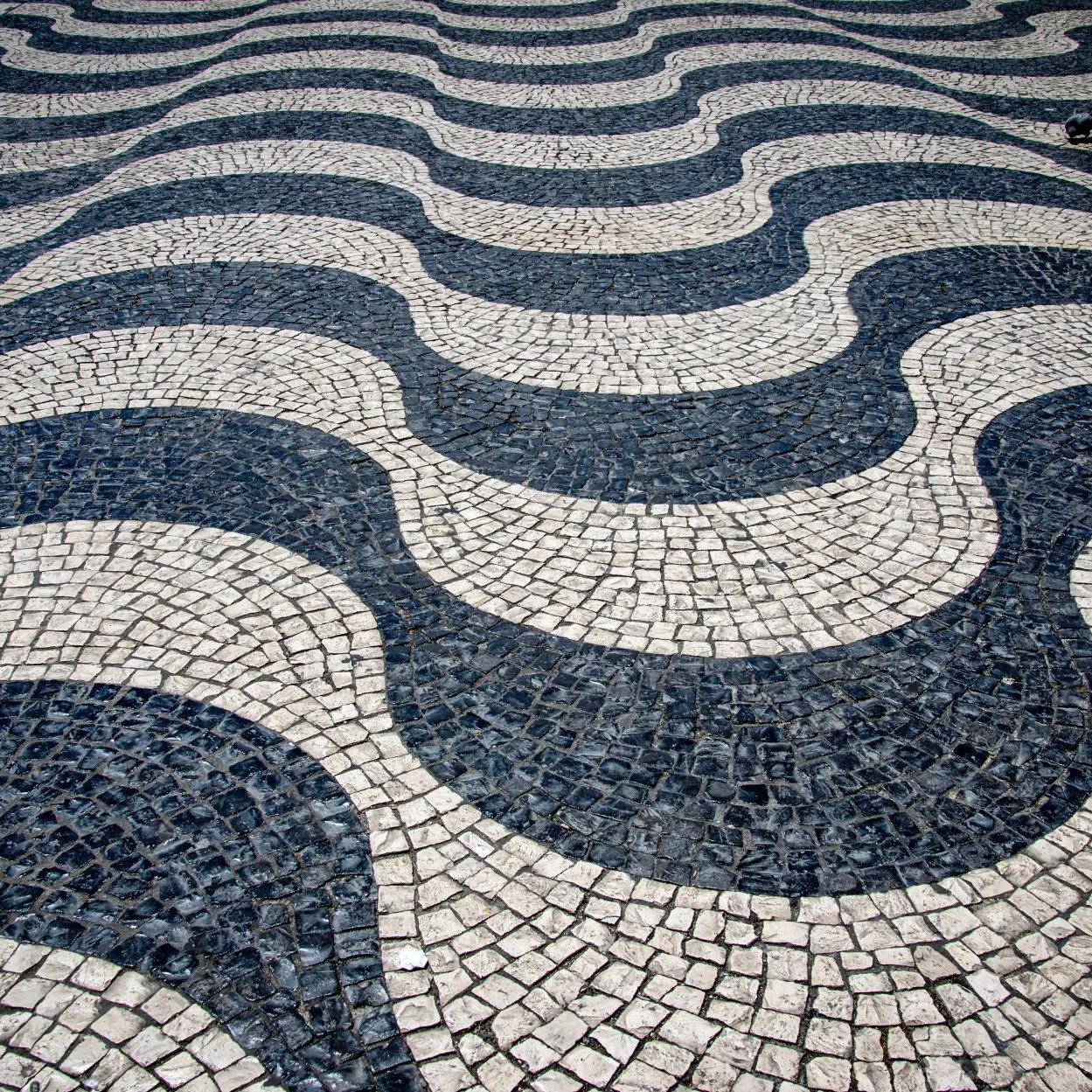 A black and white tile floor with a wave pattern.