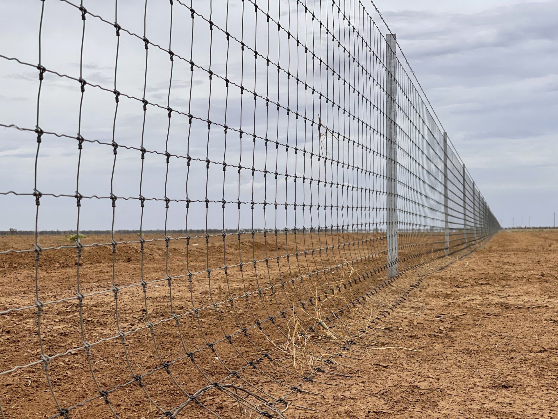 Cages — Geelong, VIC — Geelong Farm Supplies