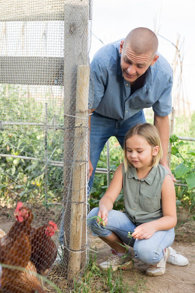 Poultry Supplies — Geelong, VIC — Geelong Farm Supplies