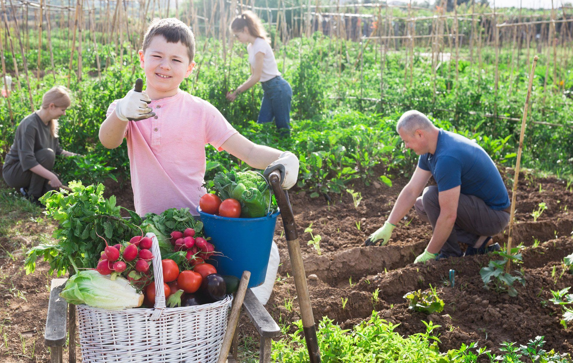 Gardening Supplies — Geelong, VIC — Geelong Farm Supplies