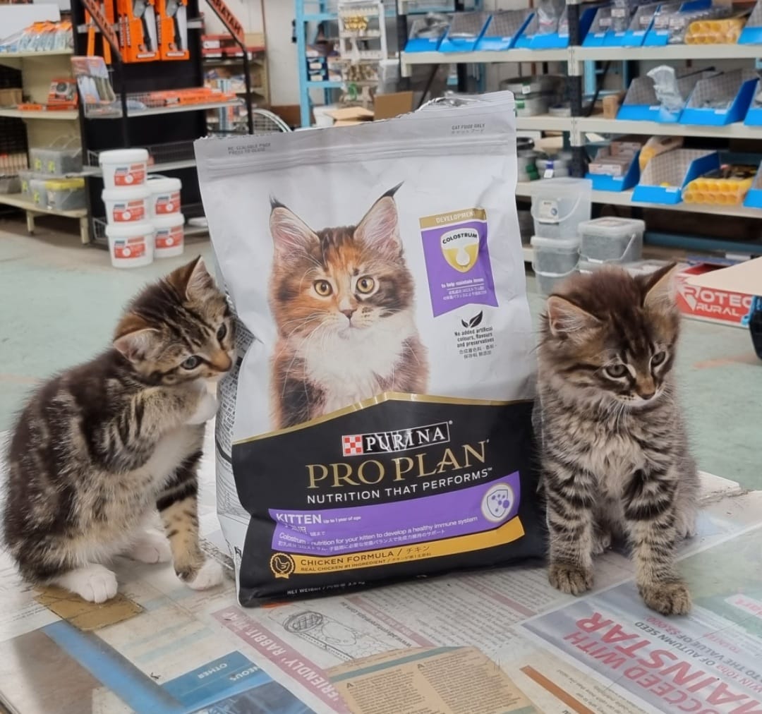 Cat Food — Geelong, VIC — Geelong Farm Supplies