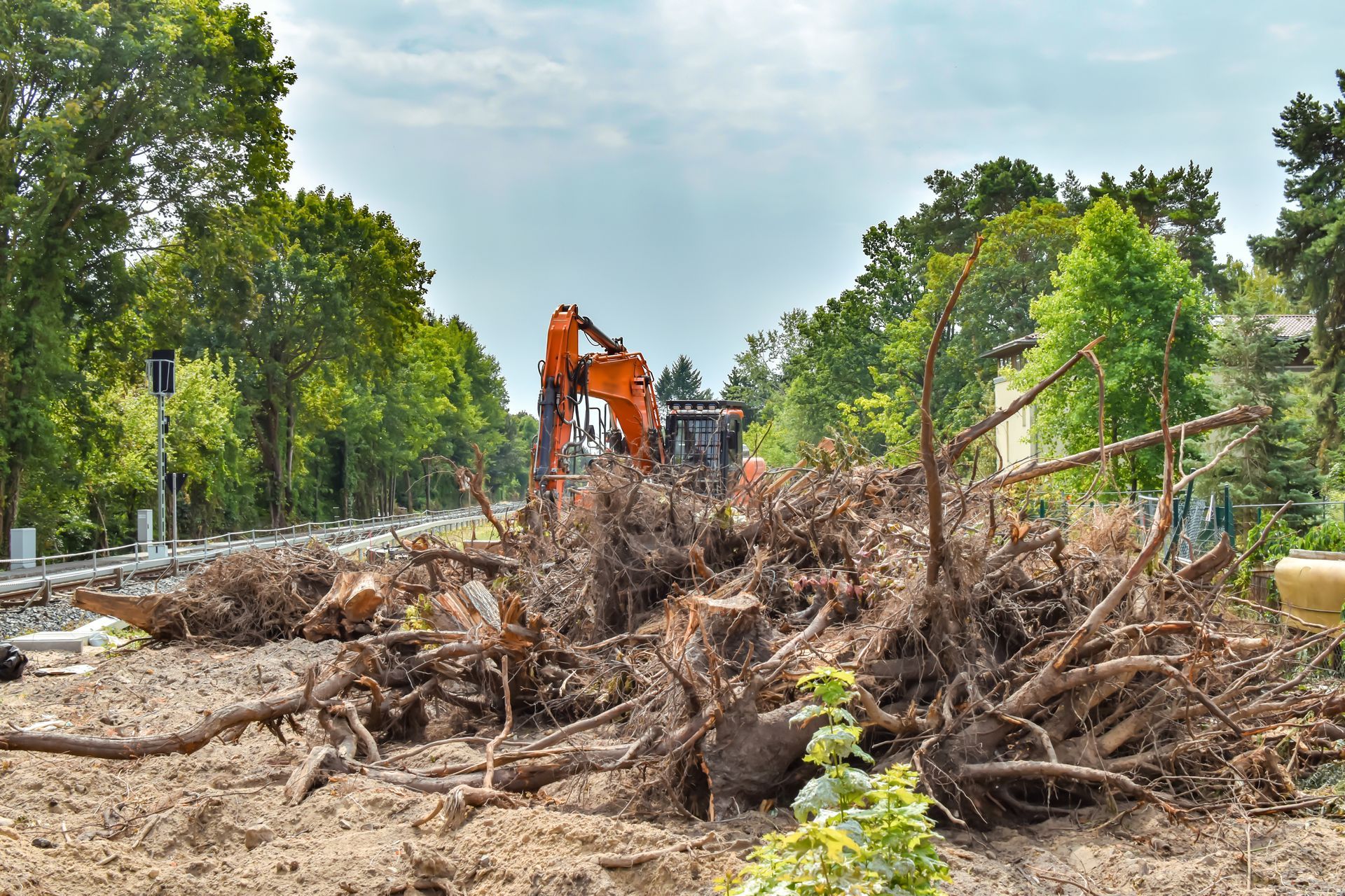 Photograph showing a construction site with a large pile of uprooted tree roots and branches in the